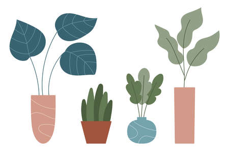 Hand drawn doodle houseplants in pots and vases. Set collection. Trendy hugge style. Plants in flower pots. Home decor. Vector illustration.のイラスト素材