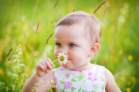 Little girl is smelling the daisy flower outdoors の写真素材