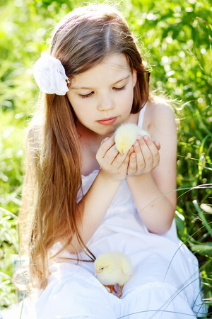 cute girl holds  little chickenの写真素材
