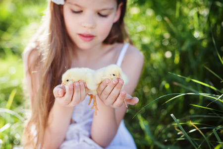 cute girl holds  little chickenの写真素材