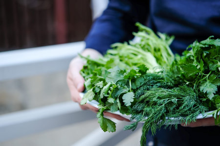 A man holds fresh herbs on a plate. fresh dill. fresh parsley. Fresh cilantro. fresh onions. fresh saladの写真素材