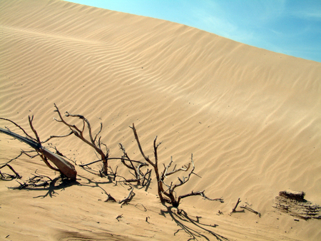 Sacharaの写真素材