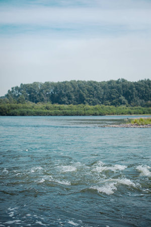 Siberian rough river  and forestの写真素材