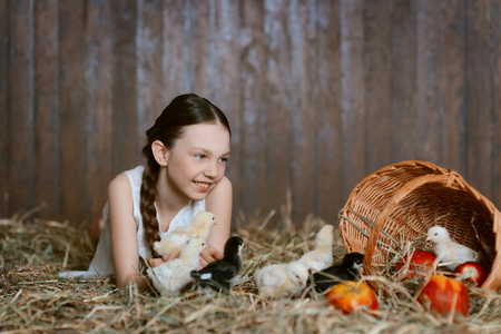 girl playing with chickensの写真素材