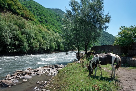of mount Kazbek, Georgiaの写真素材