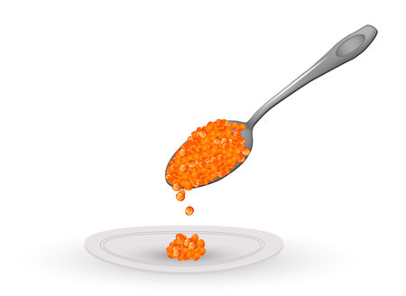 Spoon with red caviar. Vector.のイラスト素材