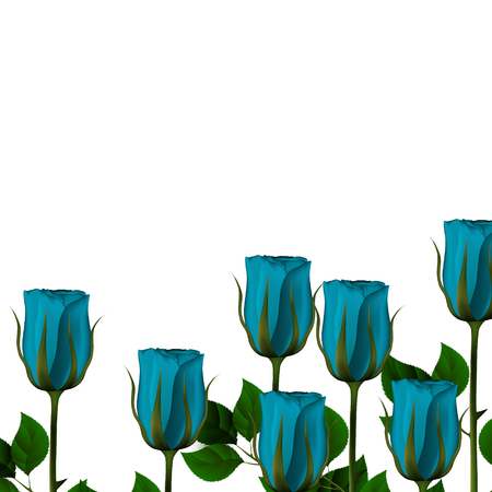 Seven blue buds of roses on a green stalk on a white background. Vector.のイラスト素材