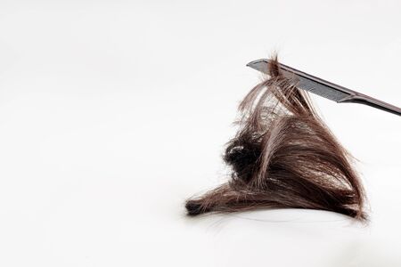 brown hair cut off falls from a black comb on a light, clean gray background. a clump of hair is scattered on a white background from the teeth of the combの写真素材