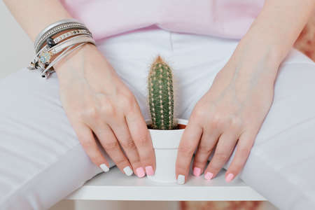 a green prickly cactus stands between her legs in white pants, showing off her bikini zone. Cactus in a pot to keep your hands on the background of a bikini.の写真素材