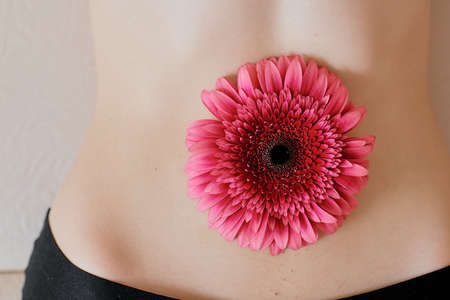 naked belly with a pink gerbera flower in the navel close upの写真素材