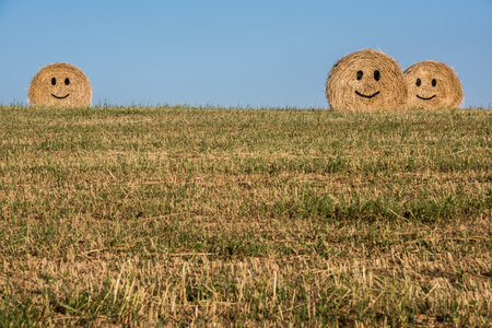 Smiling Straw bales with blue sky. Emoticon.の写真素材