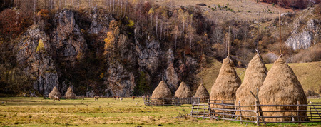 Autumn landscape in the mountains with stack of hay. Traditional hay stacks, typical rural scene of Romania.の写真素材