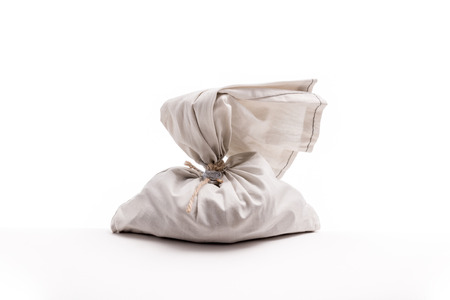 Money Bag Sealed. Bag from the original bank full of money.の写真素材