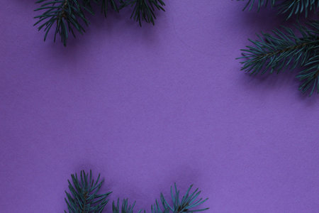 new year Christmas winter background with pine branches spruce tree on purple background with copy...
