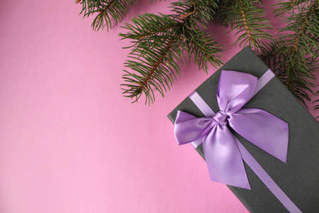new year's Christmas holiday background a branch of spruce pine trees and a festive box black with purple purple ribbon and bow on a pink light background copy spaceの写真素材