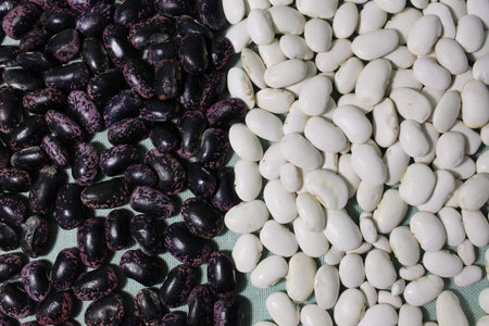 white and blue red beans as a background from eating yin yang with a copy of the space.