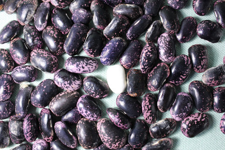white beans in a glass jar and red blue on mint light background of a copy of the space.
