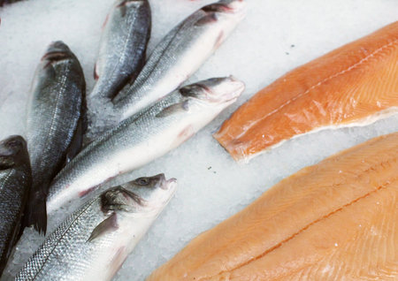Sea breath fish and red fish lie on snow and ice. Sale of chilled fish.