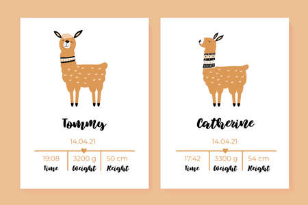 A set of children's posters, height, weight, date of birth. Lama. Vector illustration. Illustration newborn metric for children bedroom.のイラスト素材