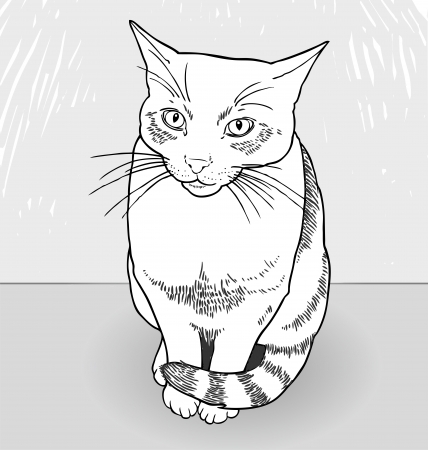 Drawing of a cat.  hand-drawn illustration of cute cat. のイラスト素材