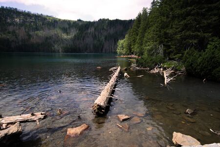 Lake in National Parkの写真素材