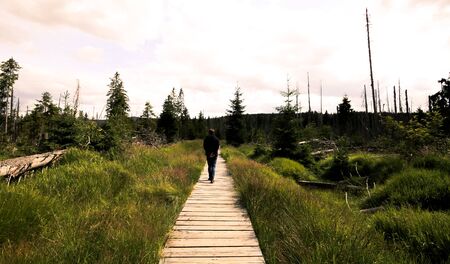 Path through the National Parkの写真素材