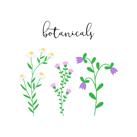 Botanical, spring blooming colorful flowers with leaves, set of three vector hand drawn flowers: camomile, bellflower and lily of the valley.のイラスト素材