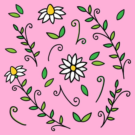 Doodle vector illustration of chamomile, camomile plant, flower. Set of hand drawn doodles, leaves and flowers, isolated on pink background.のイラスト素材