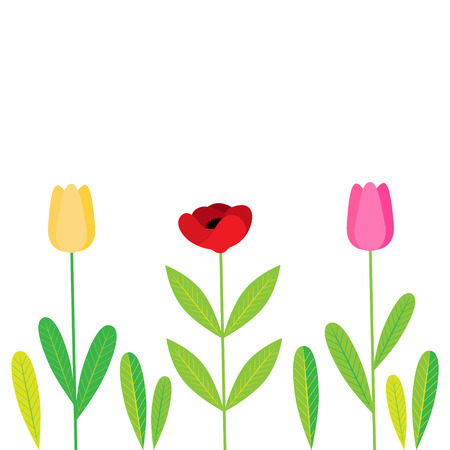 Spring flowers with leaves, vector illustration background, isolated with flowers; tulip, poppy flower.のイラスト素材