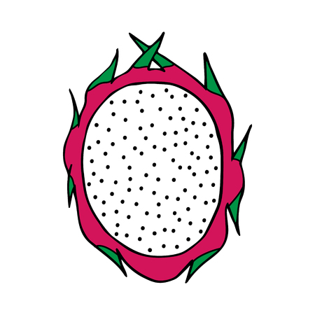 Dragon fruit vector illustration. Dragon fruit icon isolated on white background.のイラスト素材