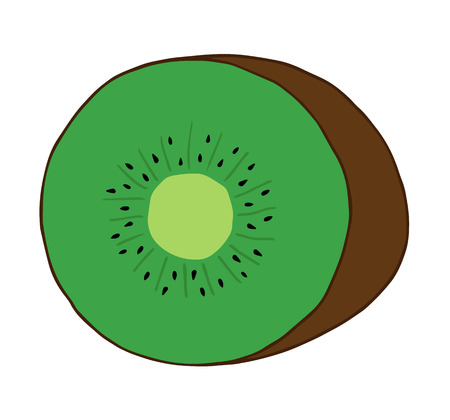 Vector Illustration Keywords: Green kiwi with brown skin and black seeds.のイラスト素材