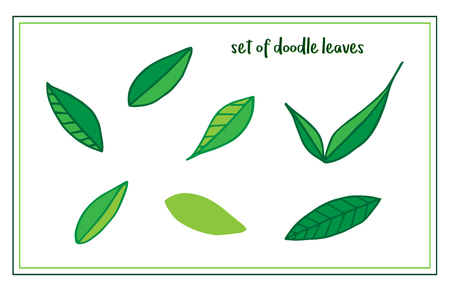 Set of doodle drawn green leaves, different styles of leaves. Vector Illustration Keywords:のイラスト素材