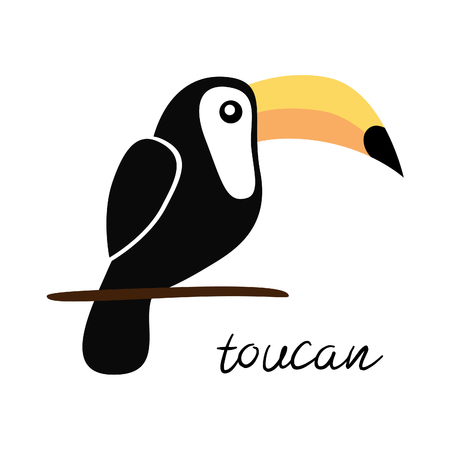 Toucan bird vector illustration, toucan with writing, isolated on white backgroundのイラスト素材