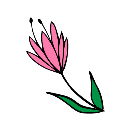 Tulip flower doodle icon, vector illustration drawing isolated on transparent background.のイラスト素材