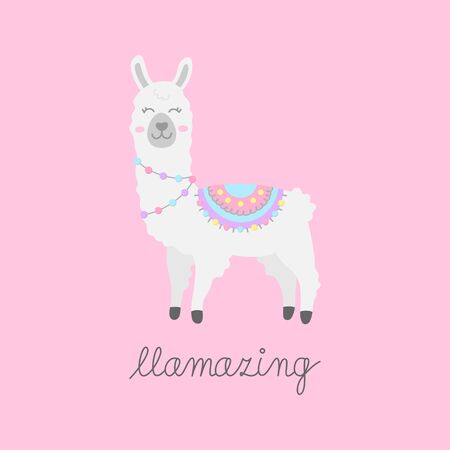 Hand drawn white llama with patterned fringed blanket. Cute furry llama or alpaca animal vector illustration with llamazing writing. Isolated on pink background.のイラスト素材