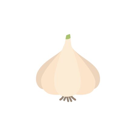 Garlic bulb vector illustration icon. Garlic spice, seasoning vegetable. Isolated.のイラスト素材