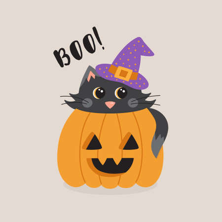 Boo! cute cat in pumpkin vector illustration greeting card. Graphic drawing of black cat with witch hat inside carved pumpkin, with text. Isolated.のイラスト素材