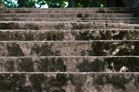 Cracked concrete stairs, moss on the stairs.