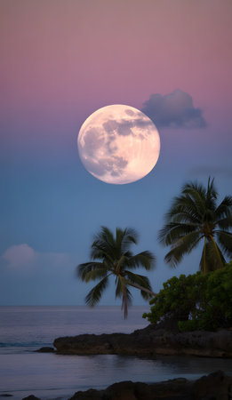 Full moon over the sea and palm trees at sunset.の素材