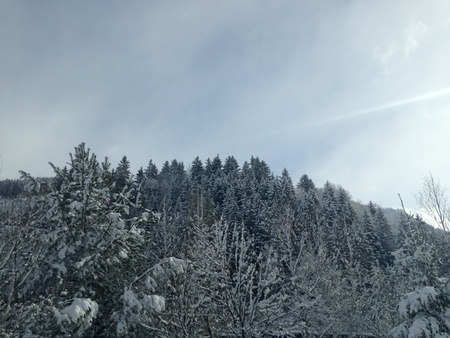 Alps landscapeの素材