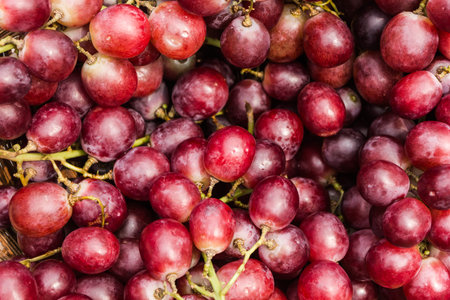 grapes redの写真素材