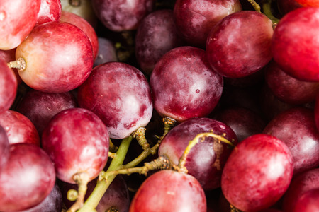 grapes redの写真素材