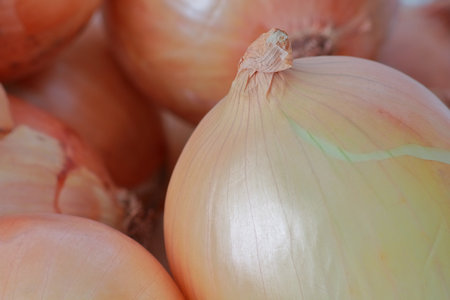 Close up of fresh onions on white background, shallow depth of fieldの写真素材