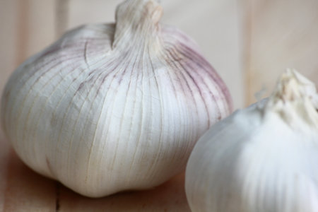 Garlic on a wooden board. Selective focus and shallow depth of field.の写真素材