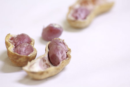 Peanuts in shell on a white background. Peanuts in shell