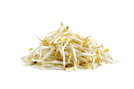 Fresh beansprouts on white backgroundの写真素材