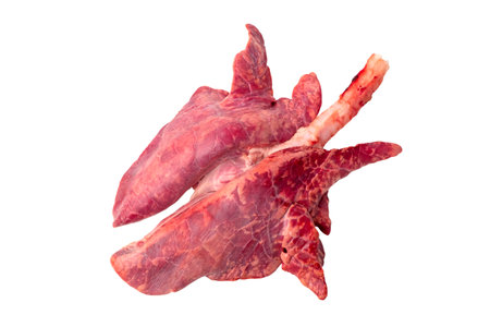 Raw Pork Lung isolated  white background   .の写真素材