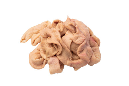 Raw Pork Large Intestine isolated  white background   .の写真素材
