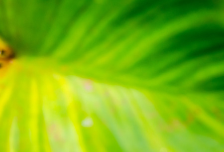 Abstract backgroundの写真素材