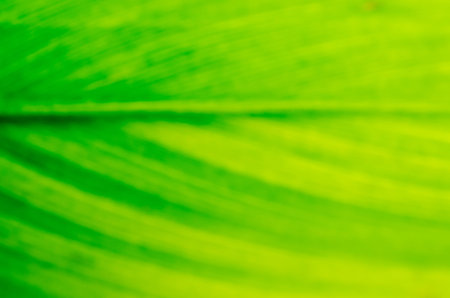 Abstract backgroundの写真素材